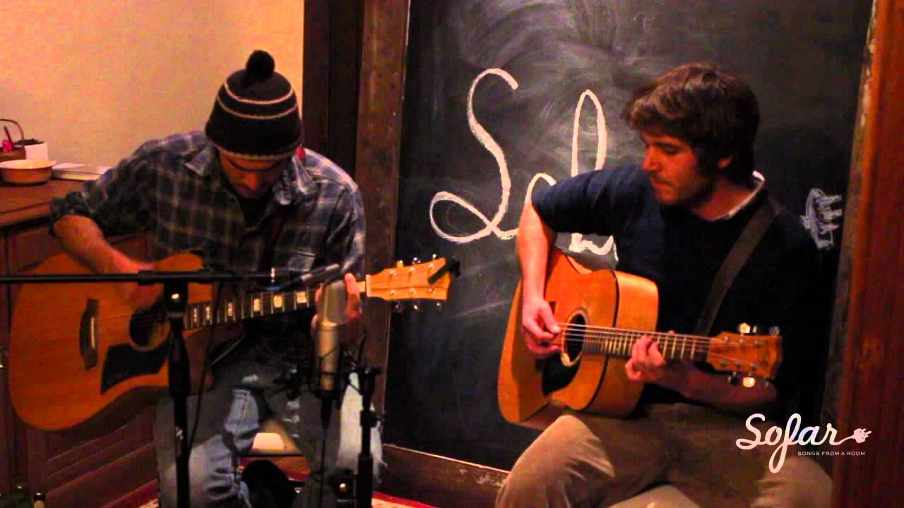 Bird At The Headlights