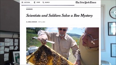 Dr. David Firth: Introduction to Management Information Systems