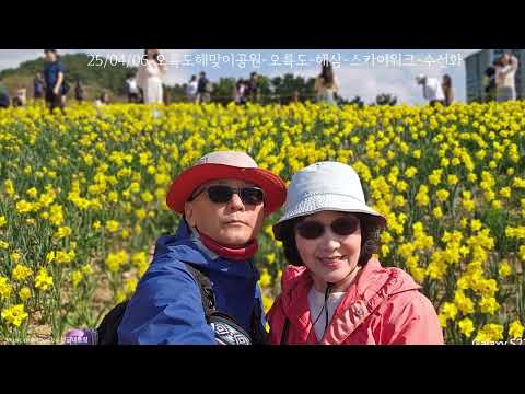 25/04/06 오륙도해맞이공원-수선화구경