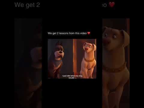 Dogs dont deserve Humans😞