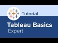 Tableau Basics Expert Tutorial