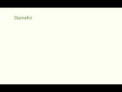 Steinefni