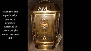 Prayer to the Heart of Blessed Anne Marie Javouhey screenshot 5