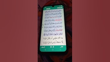 سورة النساء الآية 91 سعد الغامدي