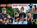 WE BOUGHT A PUPPY!!! |Yoatzi