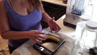 No Hands Banana Wide Version