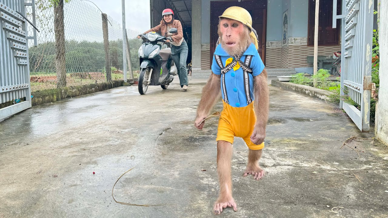 Rich CUTIS spend $2 invited mom to have breakfast at the restaurant