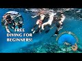 VLOG: WEEKEND WITH MY COLLEGE FRIENDS + LEARNED HOW TO FREE DIVE IN OPEN WATER | PHILIPPINES 2022