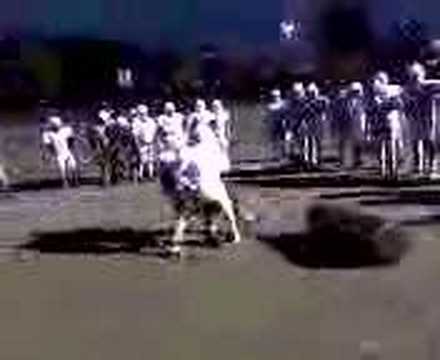 Chase Gamwell Vincent Calhoun BIG HIT DAVID AND GO...