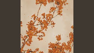 Download Lagu this is autumn rain Download Lagu this is autumn rain