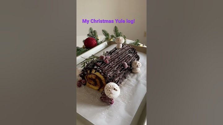 Christmas Yule log dessert