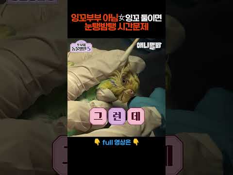 잉꼬부부 아님 女<strong>잉꼬</strong> 둘이면눈탱밤탱 시간문제  #애니멀봐 #shorts