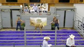 Shane Aug15 14-59-34