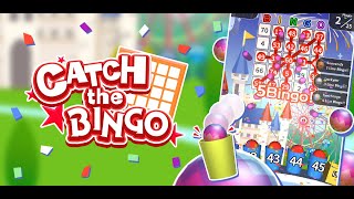 Catch the Bingo screenshot 3