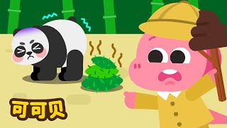 xiong mao de bian bian zhen de shi lv se de ma you qu de