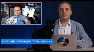 Кот Люциус как  духовная ипостась  Навального (Милов. Итоги месяца январь 2023)