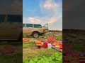تخيب الظنون وتنكشف بعض الاوهام