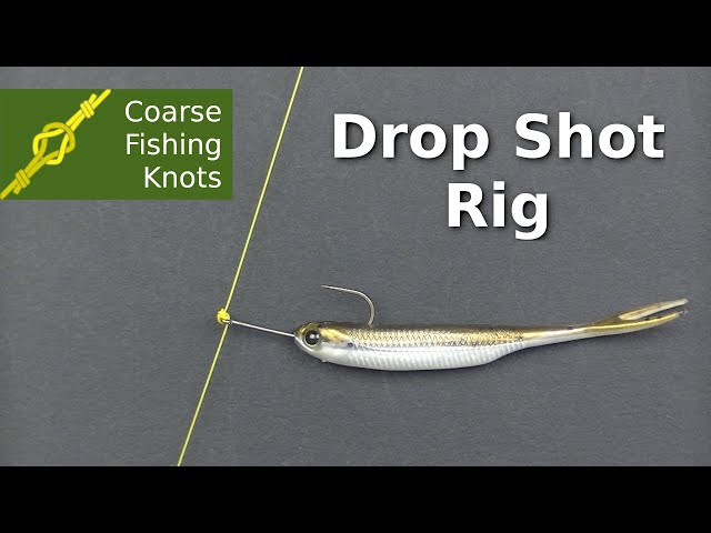 cheap bass fishing fly rod St. Croix Tannic 7wt 9'0