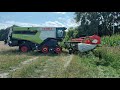 CLAAS LEXION 8700 bei der Sommerroggen Ernte in der Altmark SOUND