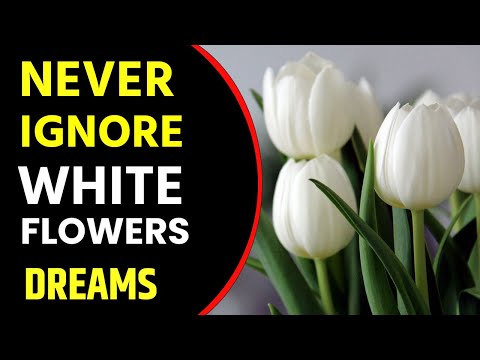 What Does White Flower Dream Meaning | Dreaming Of White Flower | White Flowers Dream Interpretation