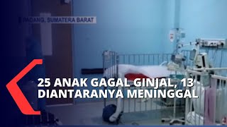 Update Kasus Gagal Ginjal Akut pada Anak di Sejumlah Wilayah, 22 Balita di Aceh Meninggal Dunia