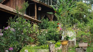 Anne House Bac Ha Bac Ha Lao Cai, Vietnam Hotel Review