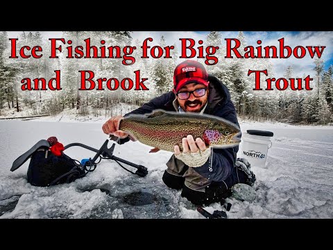 Best Ice Fishing Lures for Brook Trout 