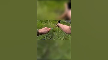 Video of the Day: Cowboy cop ropes chainsaw-wielding man out of pond