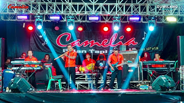 CAMELIA MUSIC - CEK SOUND - PARTY SEPONDOH COMMUNITY SUMOSARI BATEALIT JEPARA