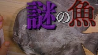 アフリカ料理×ムアンバ　~ゾマネス・マゴロク~【ワールドキッチン】