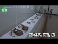 農耕で使った馬具紹介 庄内町で企画展