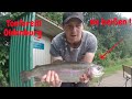 Forellenangeln mit Bodentaster Gummiköder Toniforelli Oldenburg Powerbait Big Trout Fishing Lachs