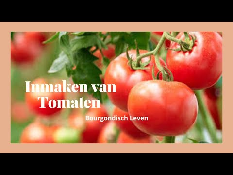 Video: Bloemkool In Tomatensaus Voor De Winter