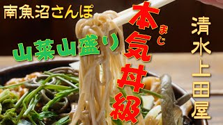 清水上田屋《短縮版》山菜だらけそば