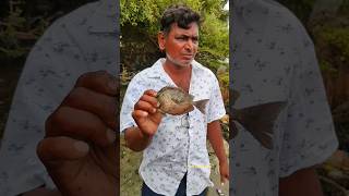 ஆபத்தான விஷமுள்ள ஓரா மீன் வலையில் சிக்கியது #reels #fishermen