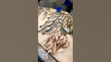 #القرآن_الكريم #راحة_نفسية #تلاوة_خاشعة #يارب #اكسبلور #الرحمن