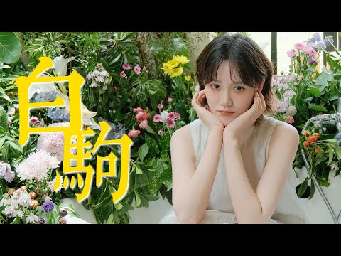 司南·纯享版 | 白驹 | 仗剑行山水 诗一盏 酒一杯 折草而吹 摘落星月作剑珮