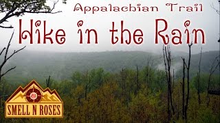 Appalachian Trail Hike in Rain to Hollow Brook Falls and Buzzard Hill