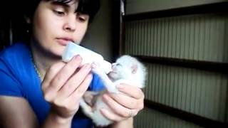 MOV02282.AVI.mp4