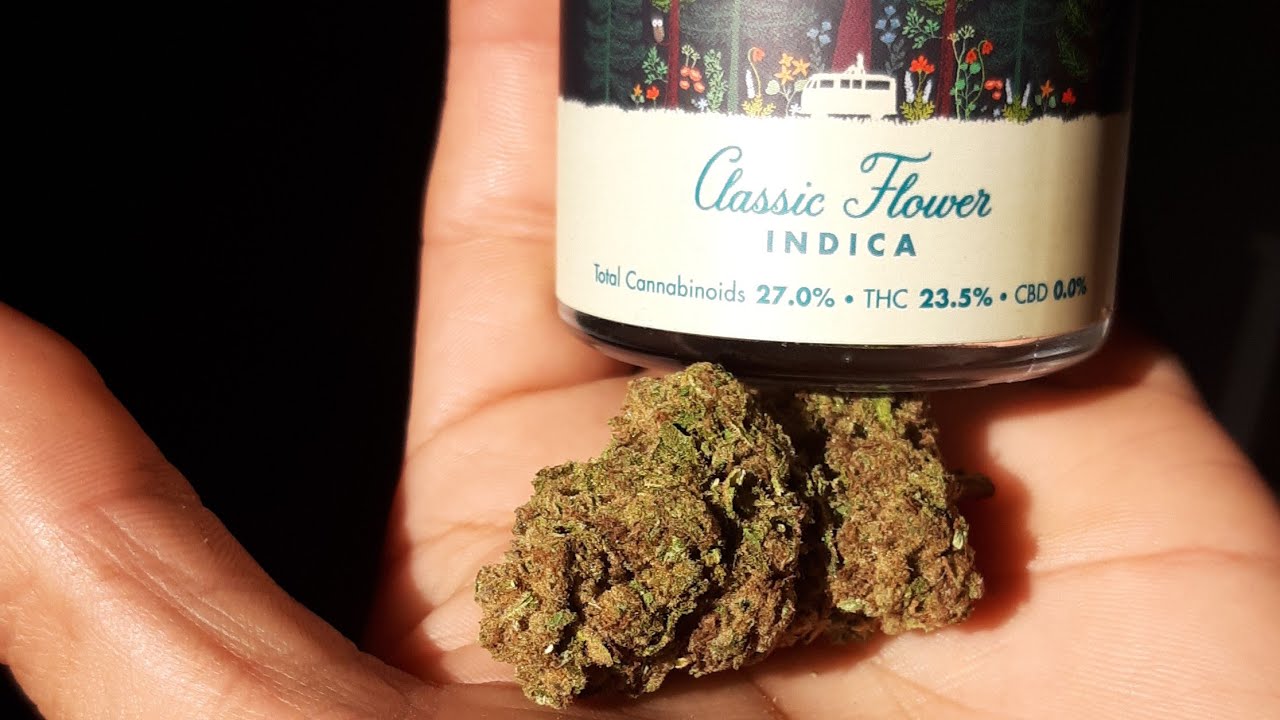 strain review Humboldt farms pancakes