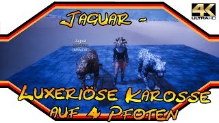 Conan Exiles ★ Jaguar - Luxeriöse Karosse auf 4 Pfoten ★ Guide [4k] Conan Exiles Jaguar Location