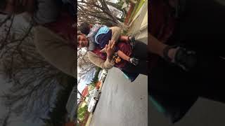 IMG 6472 2