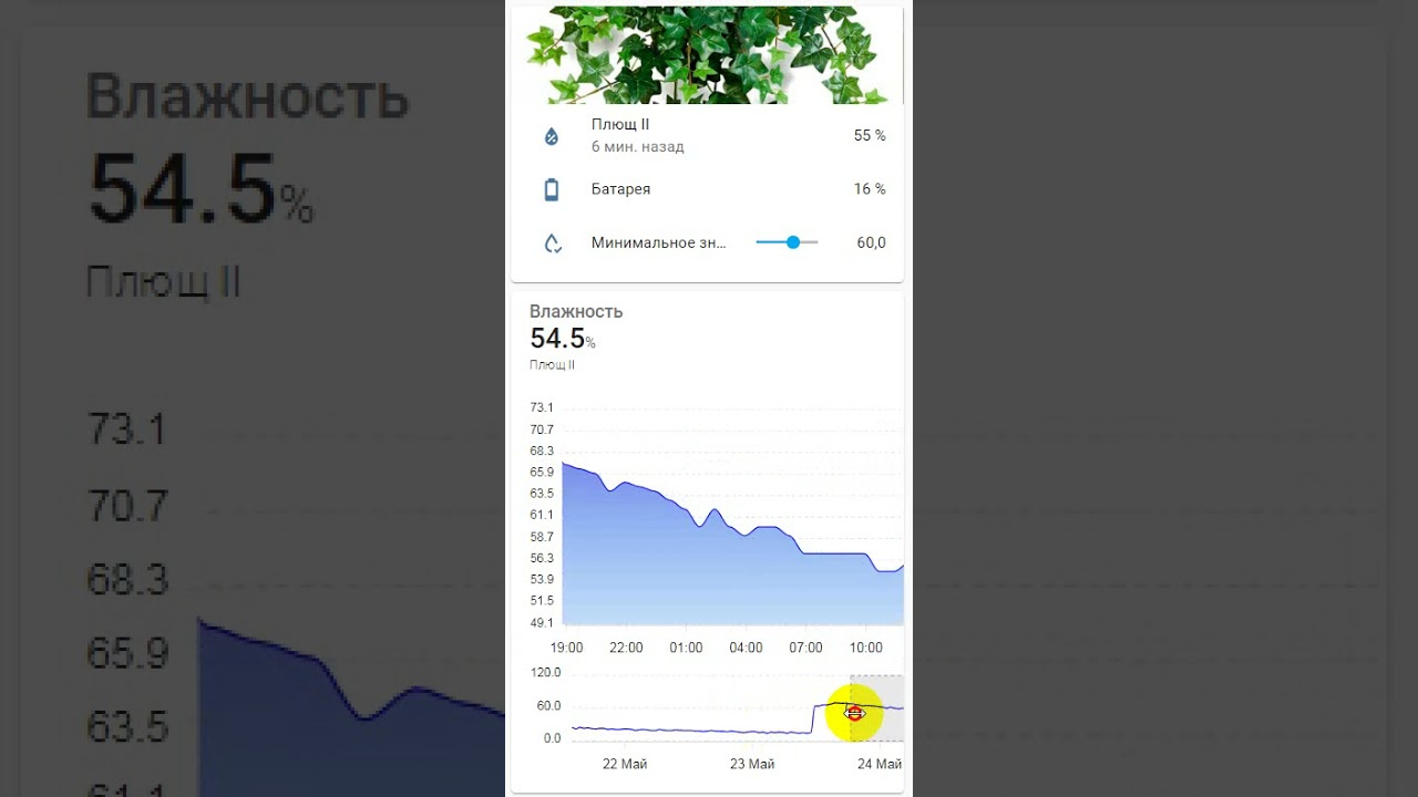 Video 2021 05 24 142701