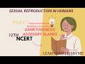 HUMAN REPRODUCTION - PART 1/ MALE & FEMALE REPRODUCTIVE SYSTEM / GAMETOGENESIS NCERT12TH #neet