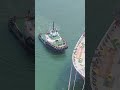 Sri Lankan TUG🛥️🌏 #shiplovers #portlife #hormuz @SLportworker #sealife