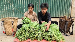 Homeless boy and a poor girl picked vegetables to sell and save money to repair their house