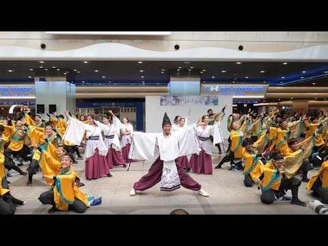 [4K] 同志社大学京都よさこい連 心粋 『澄晴』神戸よさこい 2019 デュオ神戸会場