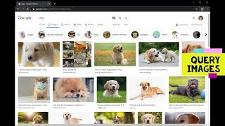 CS50 Project0-Search