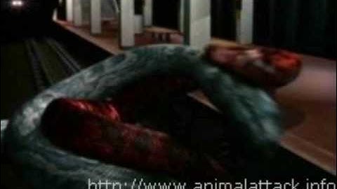 Movie Stills From Boa Vs Python (2004)