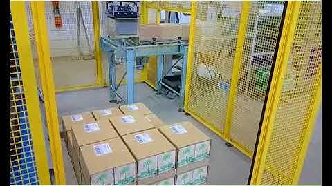 Pallettizzatore economico Robo Easy - Sintesi Srl